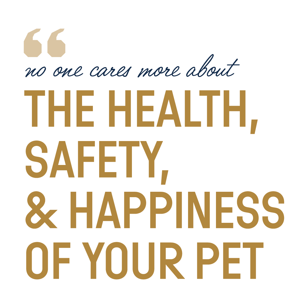 A motivational quote about pet care highlighting our dedication to pet health, safety, and happiness in Philadelphia.